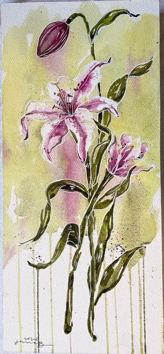 Stargazer Lily