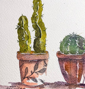 Two Potted Cactus