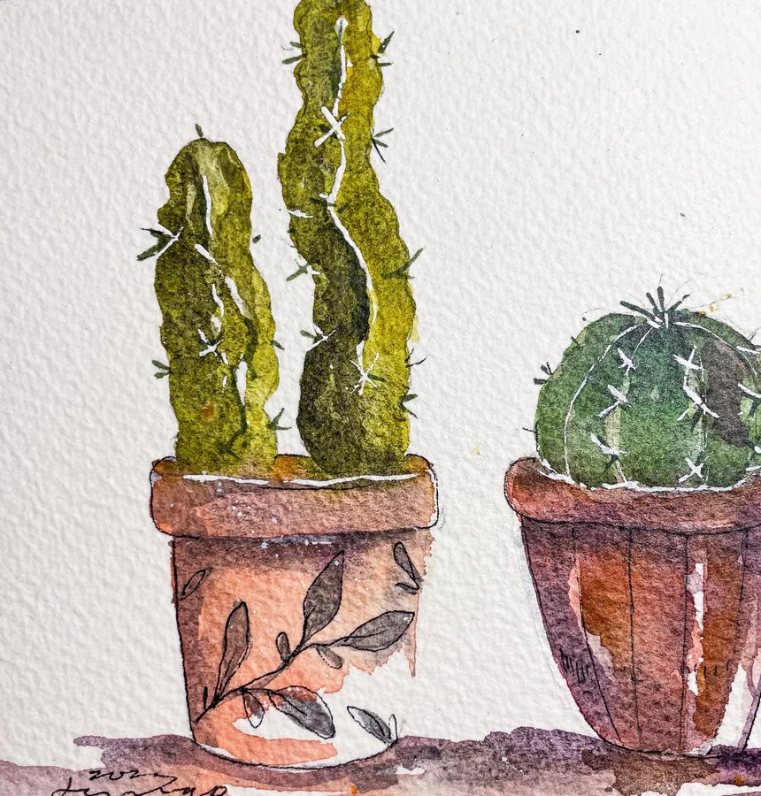 Two Potted Cactus