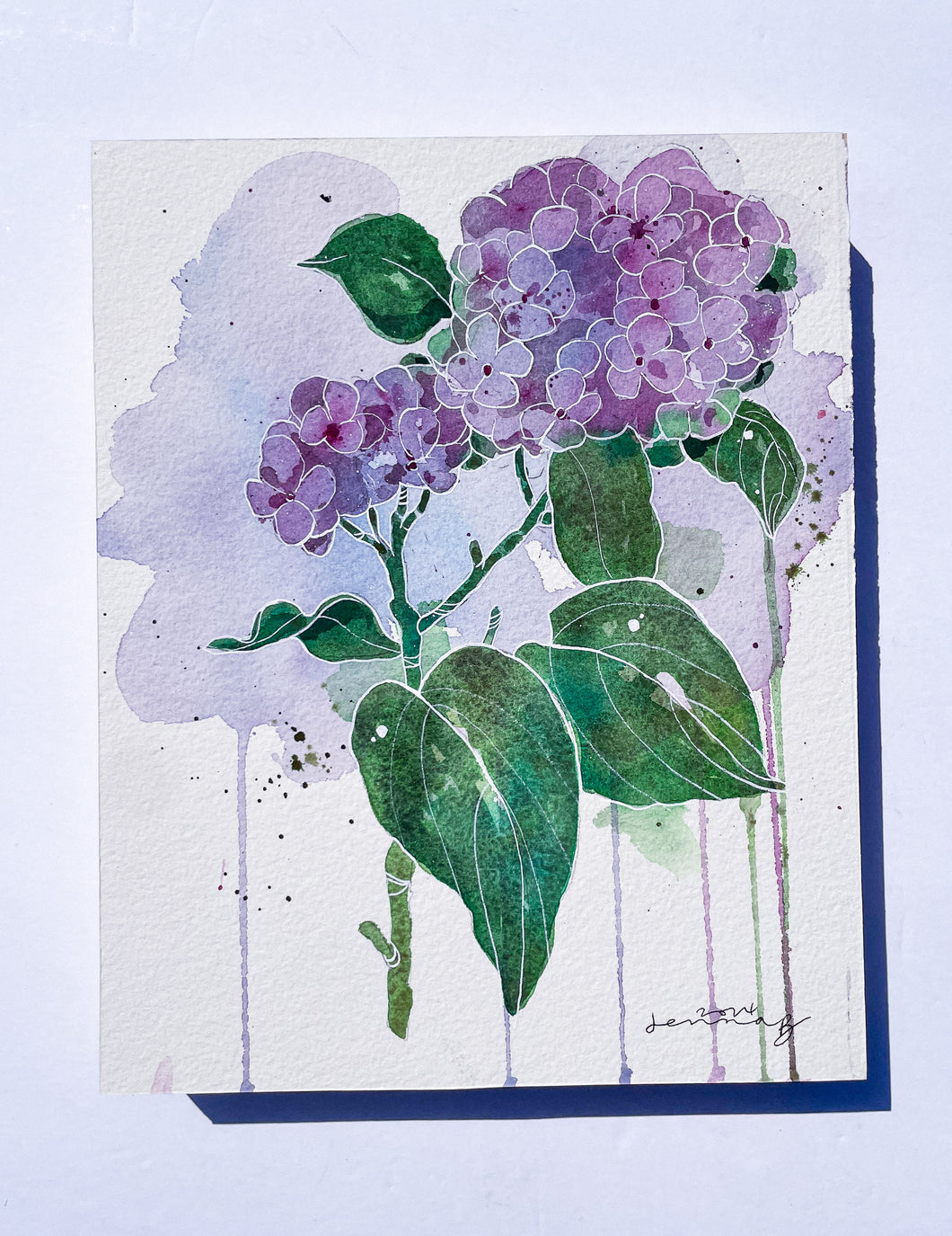 Lavender Hydrangea