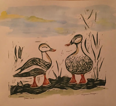 Wetlands Scene