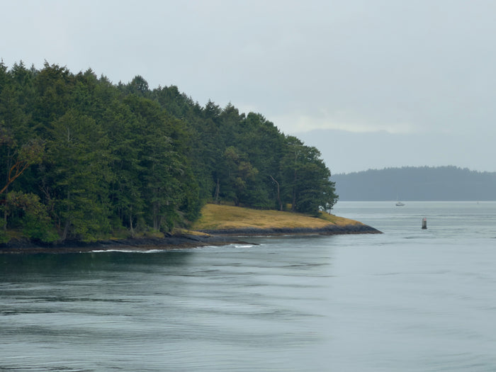 Island Edge