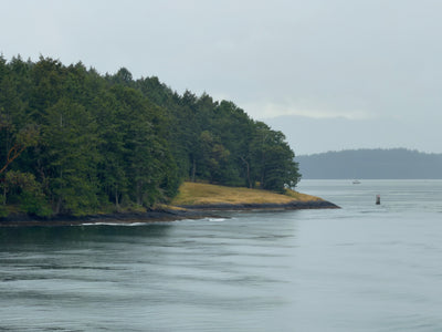 Island Edge