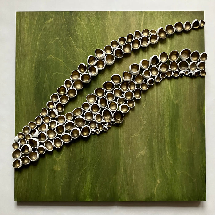 Fir Barnacles