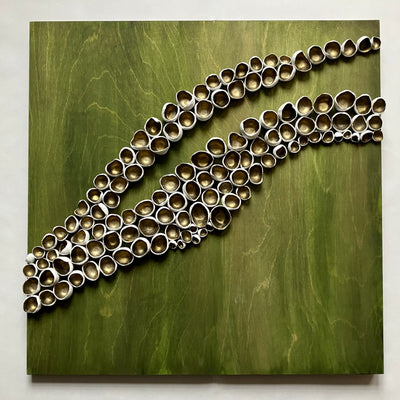 Fir Barnacles
