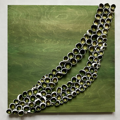 Spruce Barnacles