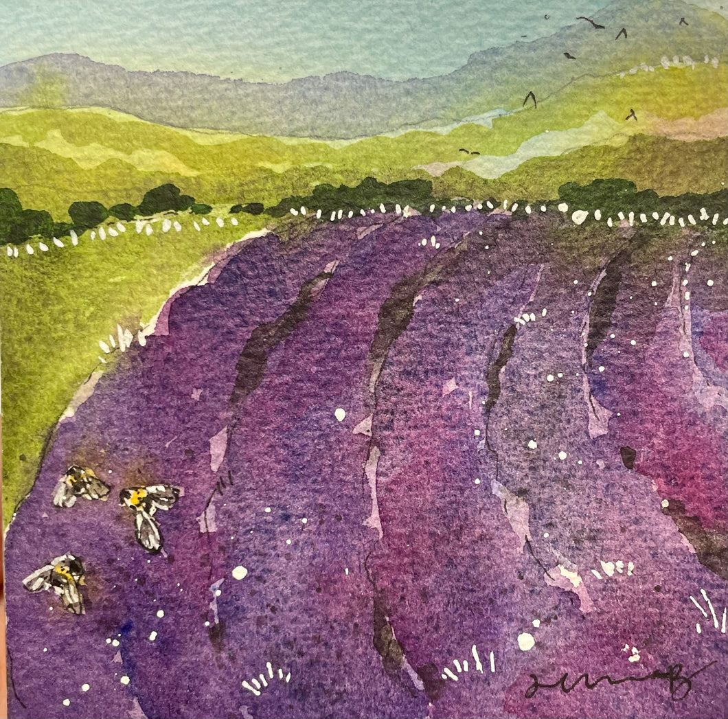 Lavender Landscape