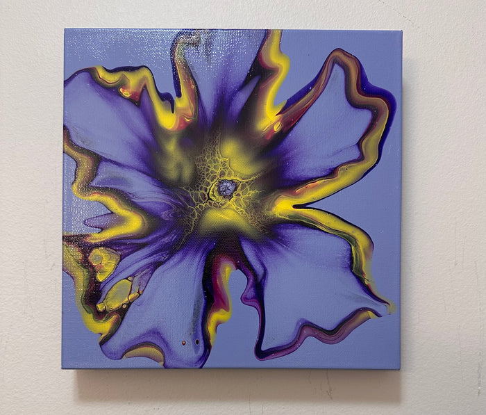 Velvet Bloom of Disk