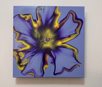 Velvet Bloom of Disk