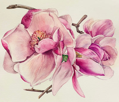 Pink Magnolia #2