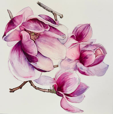 Pink Magnolia #1