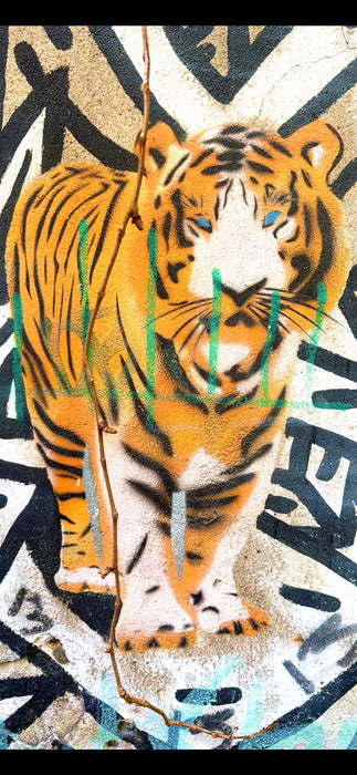 Lion Graffiti