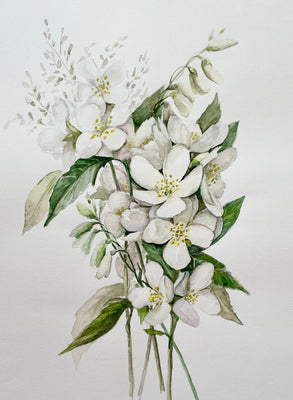 Wild White Flowers