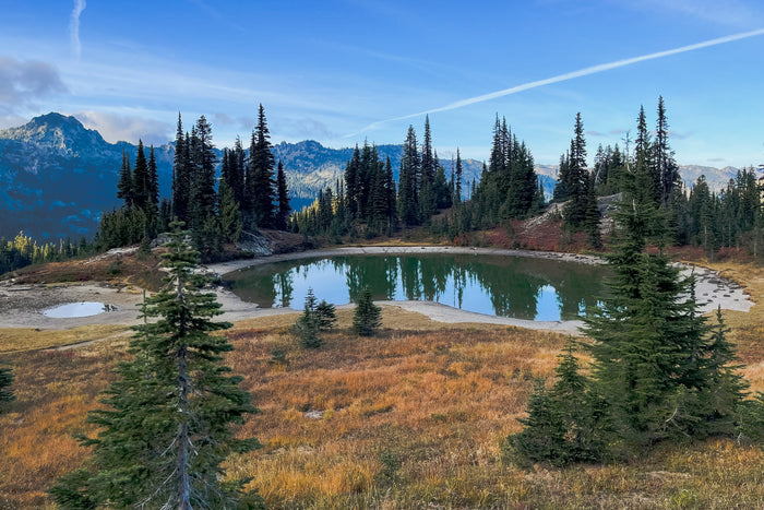 Shallow Alpine Lake with Autumn Colors in Mount Rainier