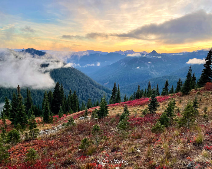 Golden Sunset over Misty Red Leaf Meadow