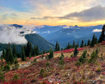 Golden Sunset over Misty Red Leaf Meadow