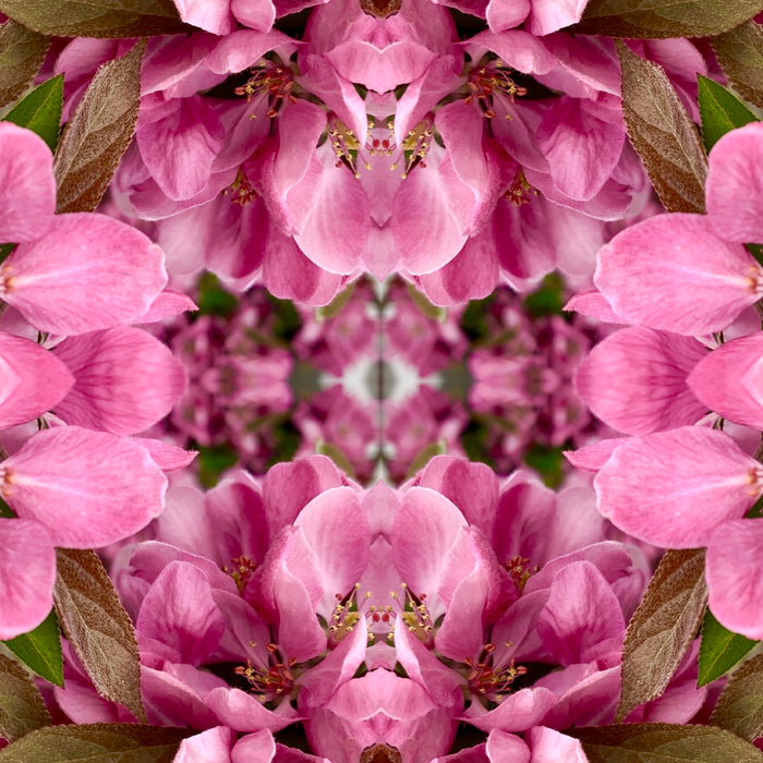 Symmetry: Pink and Green