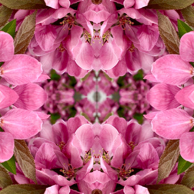 Symmetry: Pink and Green