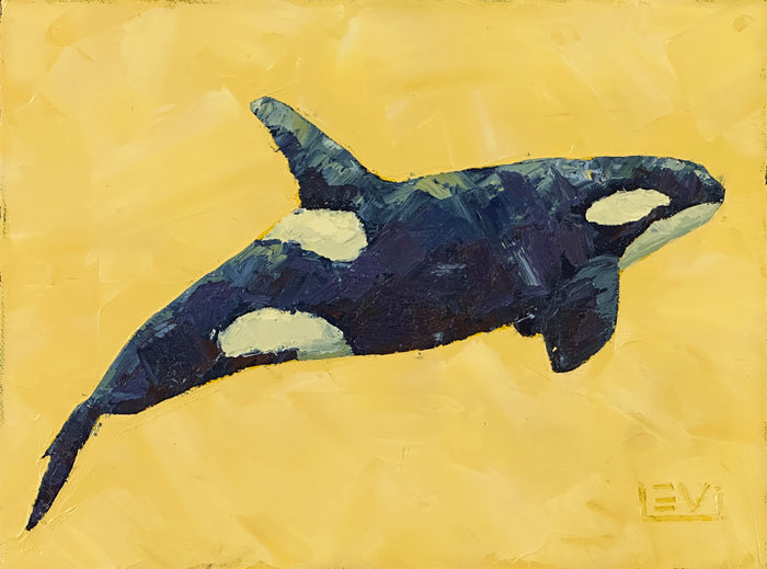 Dreaming orca