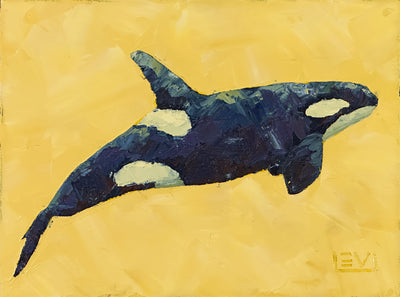 Dreaming orca