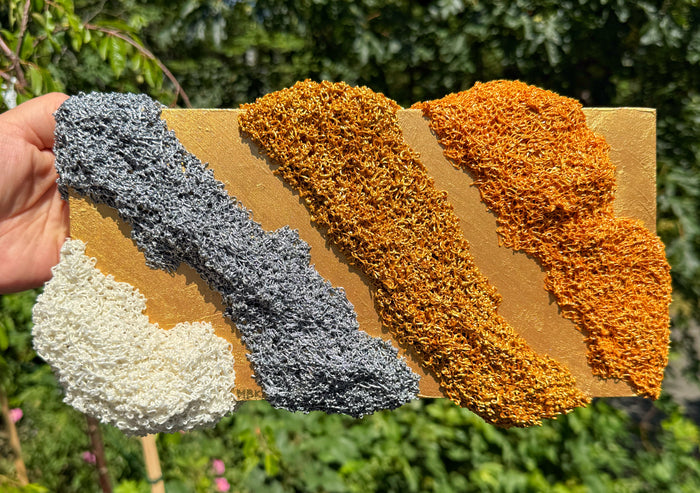 the imagined corners