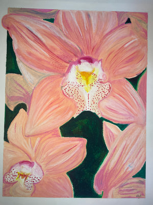 Lillies