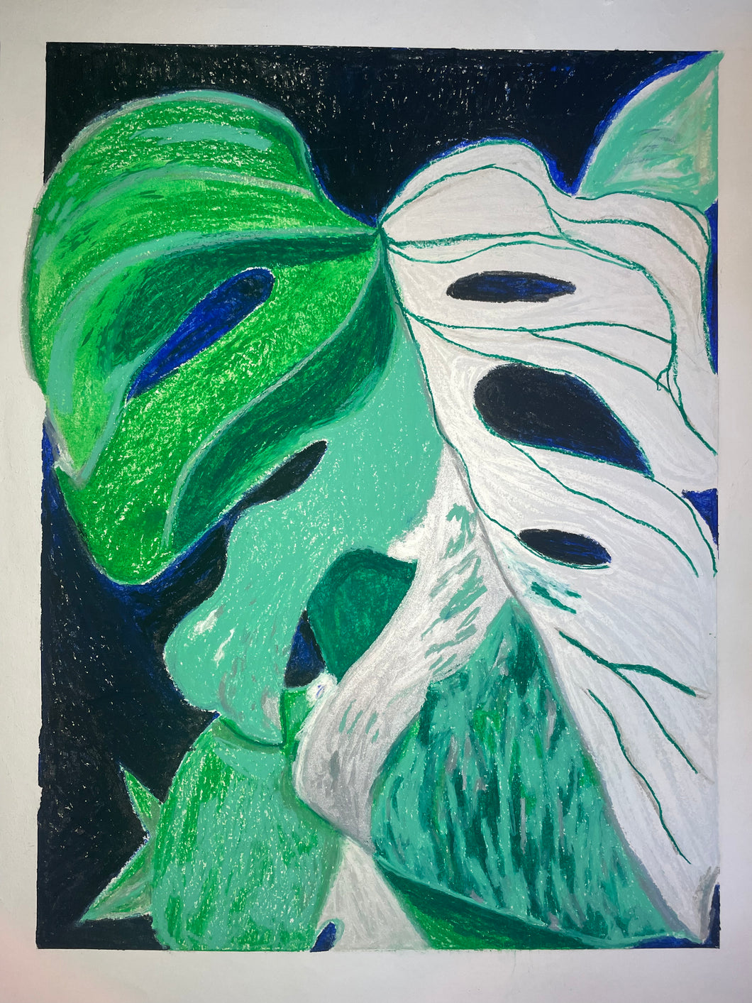 Monstera_ValereeYe_2022-1759086546146.JPEG