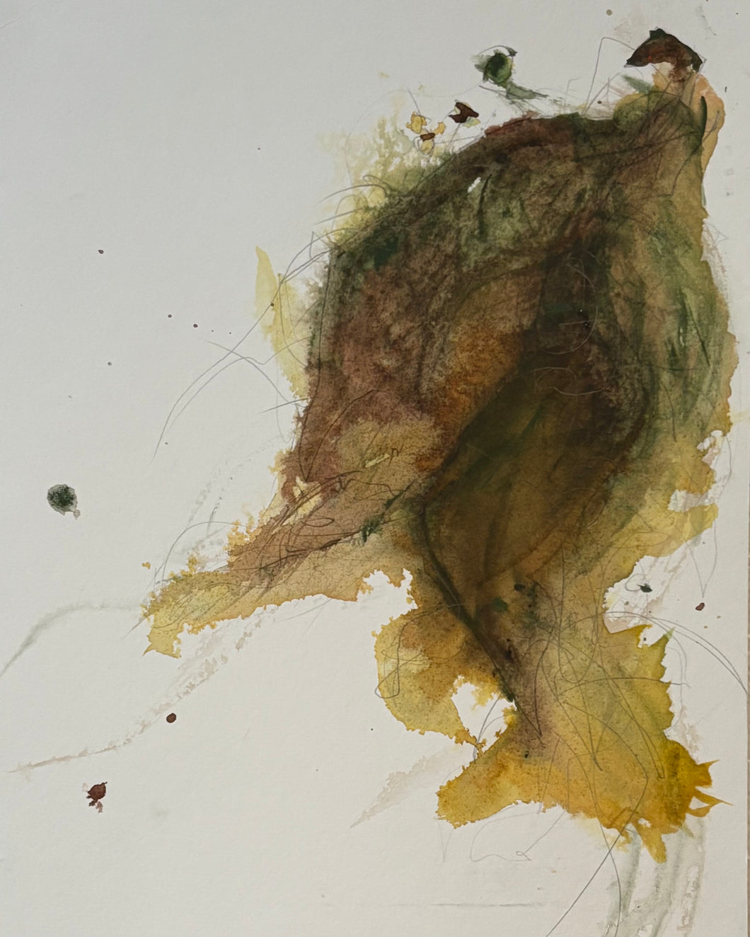 Nature Drawing 2-1762121122335.jpg