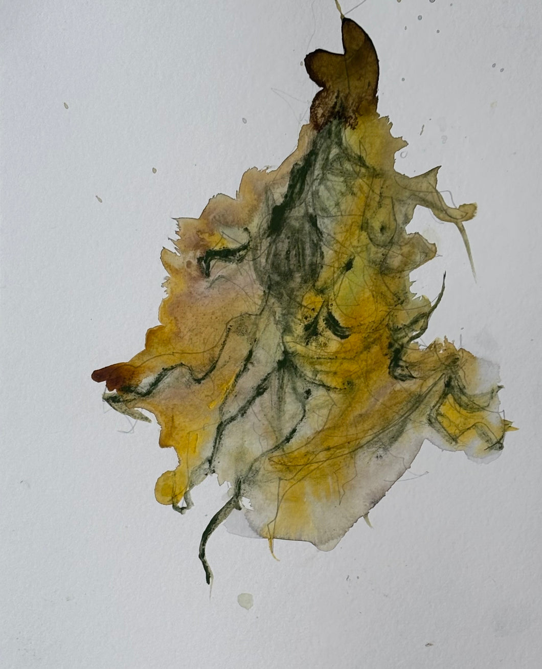 Nature Drawing 5-1762121003810.jpg