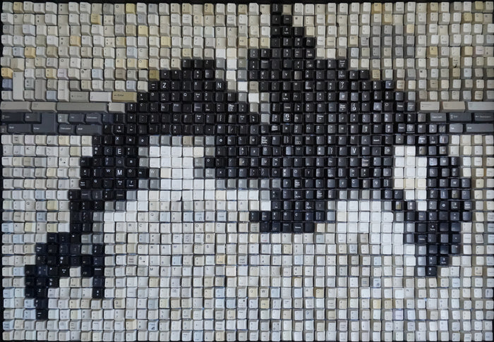 Orca “Keyller Whale”