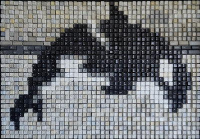Orca “Keyller Whale”