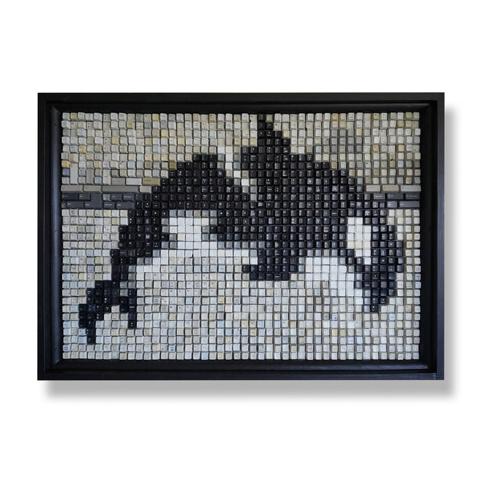 Orca “Keyller Whale”