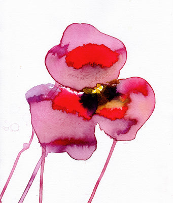 Water draws: Pansy