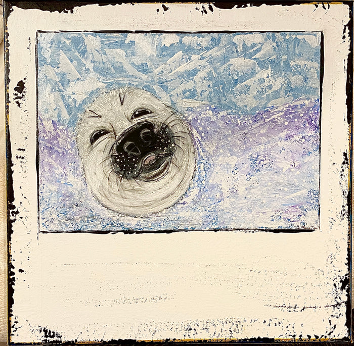 Harp Seal 2026