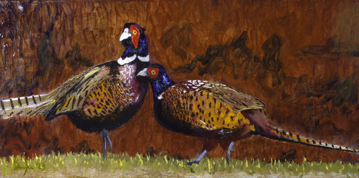Pair Of Ring-necked Pheasants