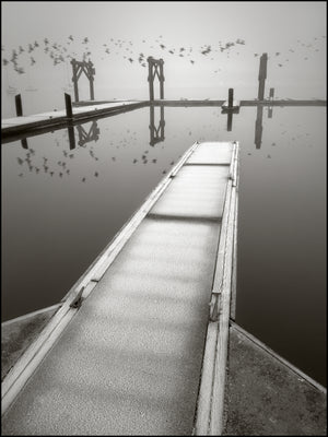Frosted Dock