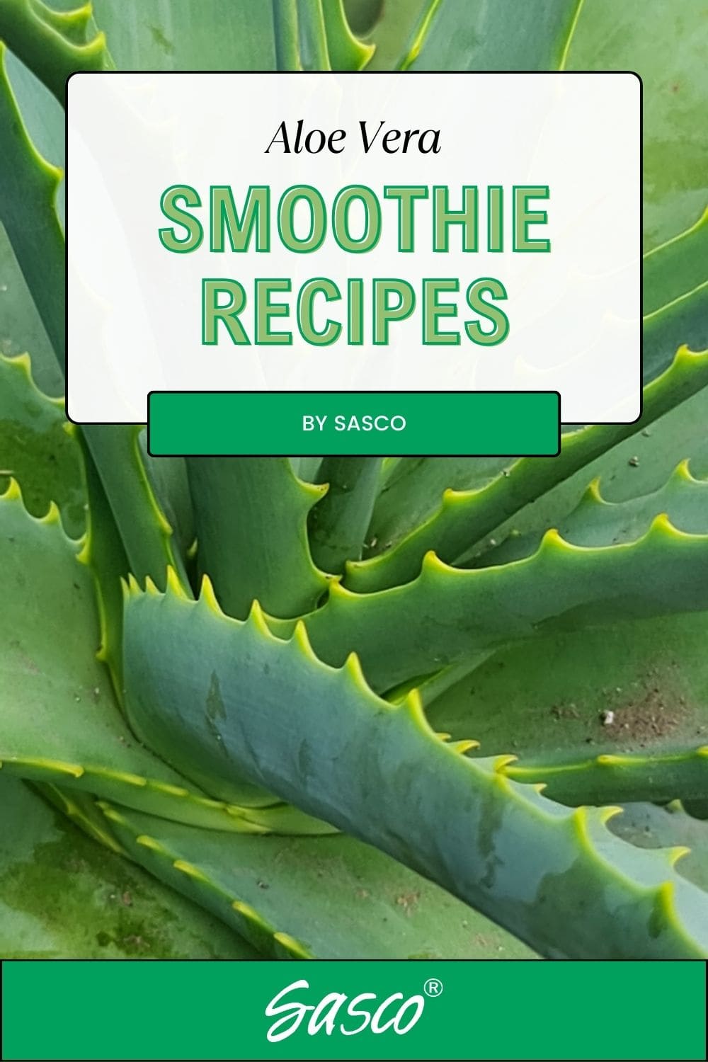 Sasco-Smoothie-book-1747133094419.jpg