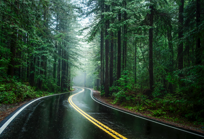 Road to Adventure