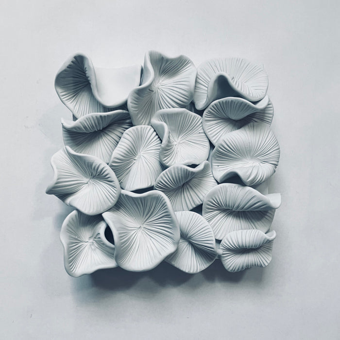 Sea Spores No. 2