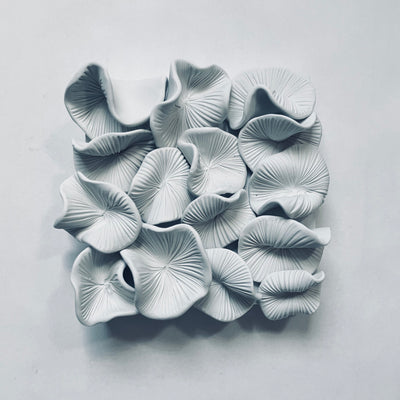 Sea Spores No. 2