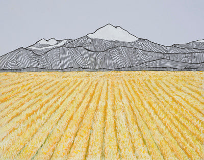Skagit 3