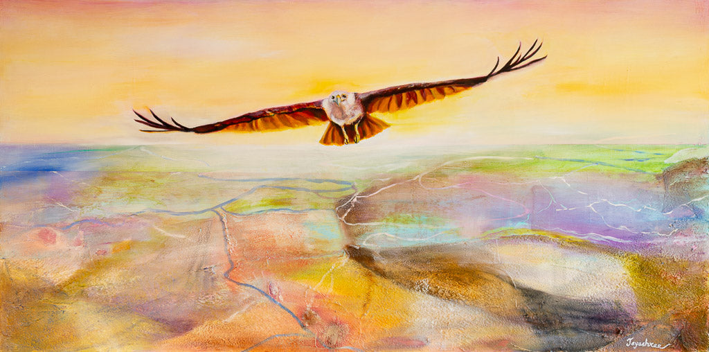 Sky King