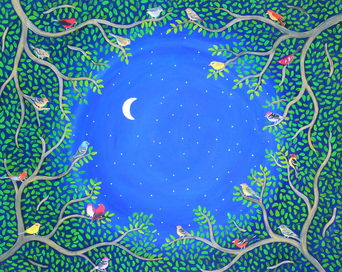 Star Gazing 2