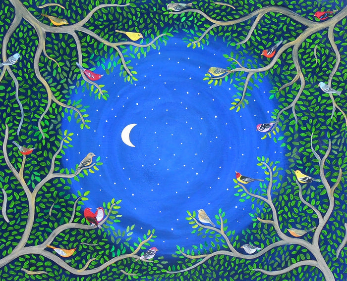 Star Gazing 3