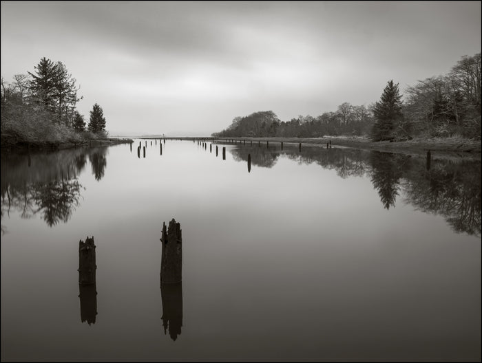 Chinook River Reflections