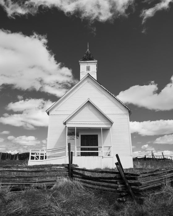 White Church Fox, Oregon