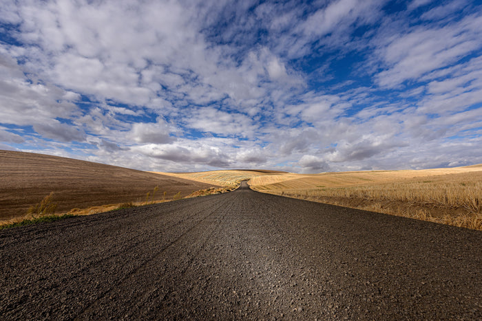 Primitive Road near Walla Walla