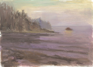 Fog at Sunset Bay