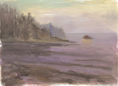 Fog at Sunset Bay