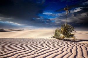 White Sands #1